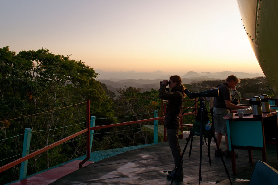Blick vom Canopy Tower