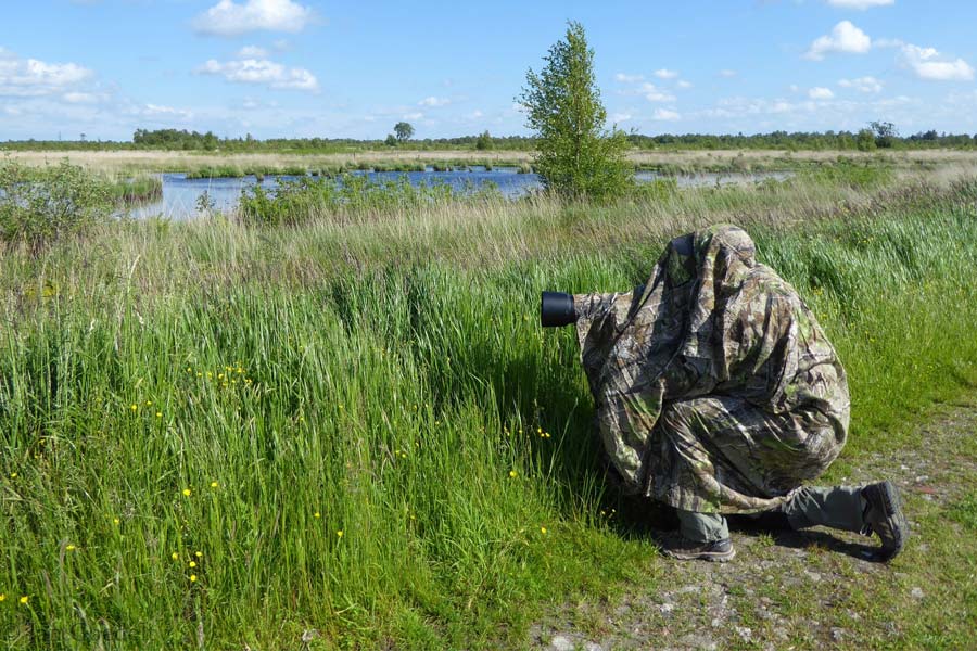 Mit Geduld und der richtigen Tarnung zum perfekten Bild