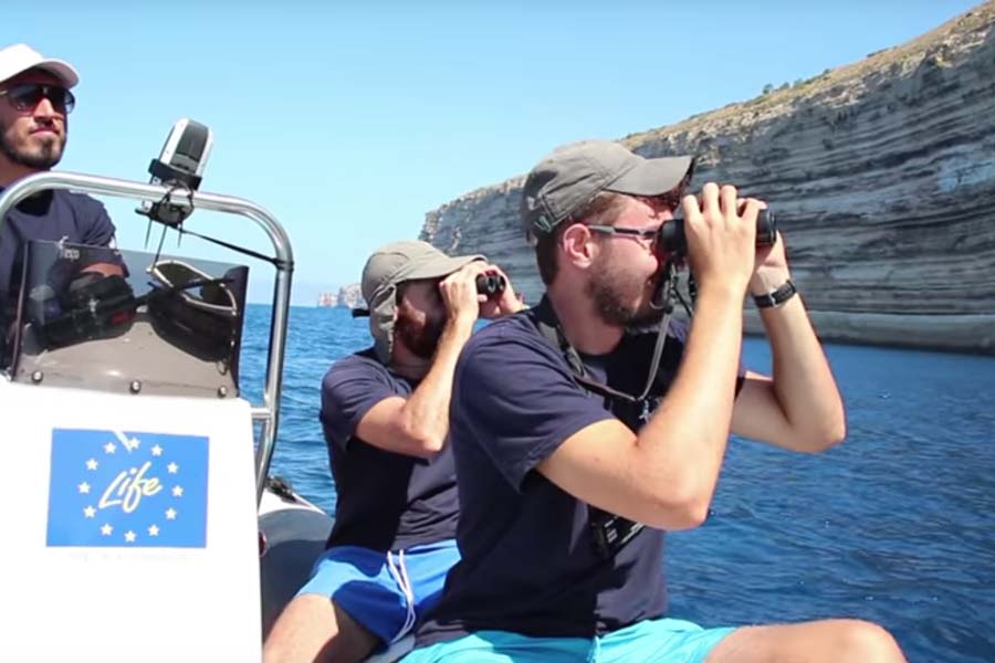 Vogelschutz auf dem Meer